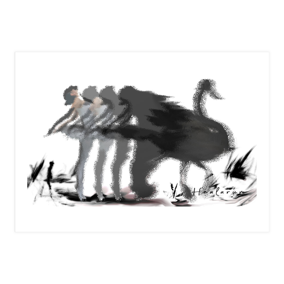 The Black Swan (Print Only)