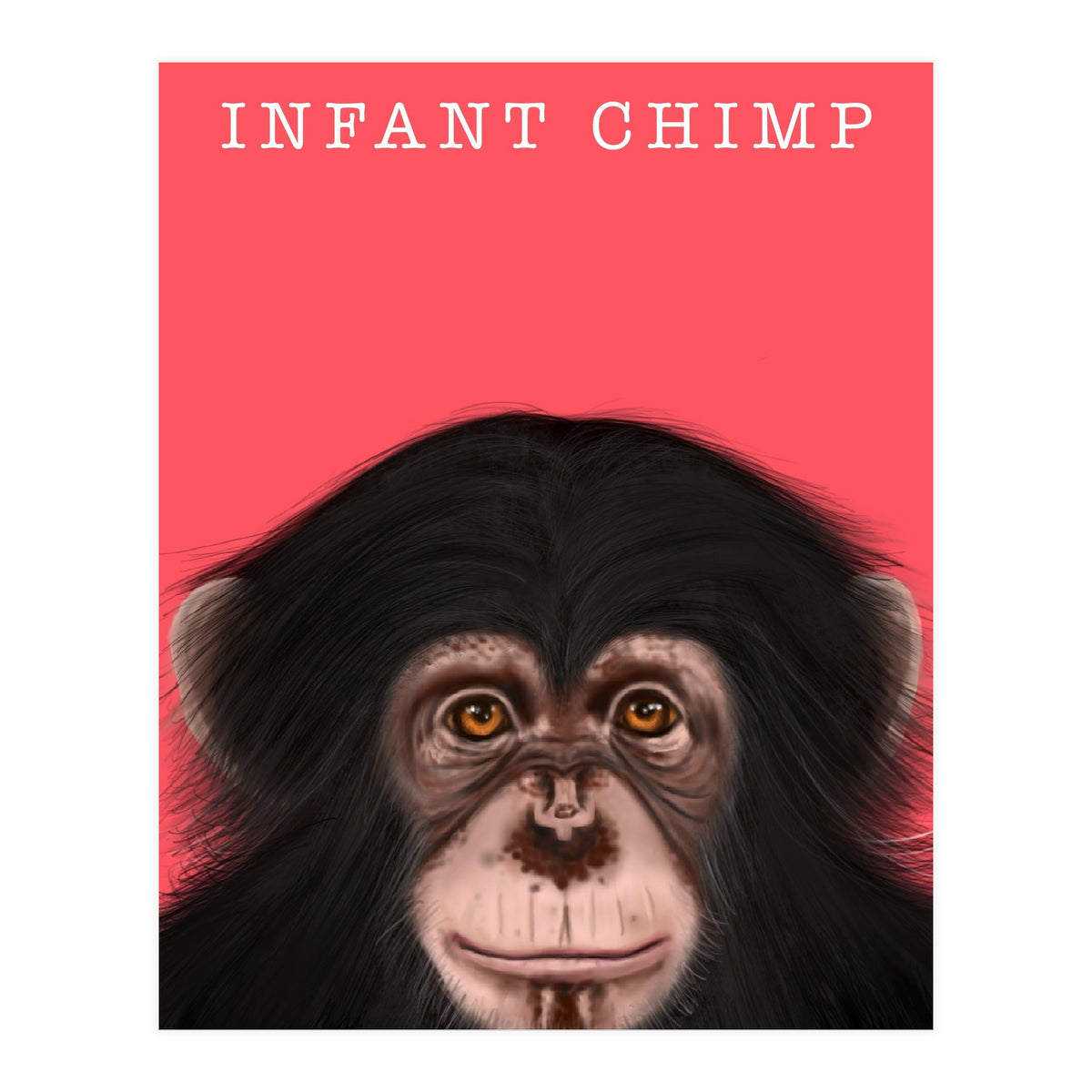 Infant Chimp (Print Only)