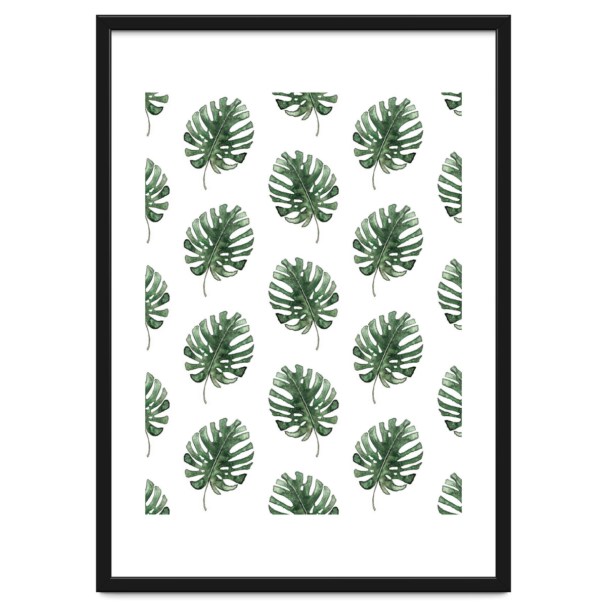 Monstera Leaves