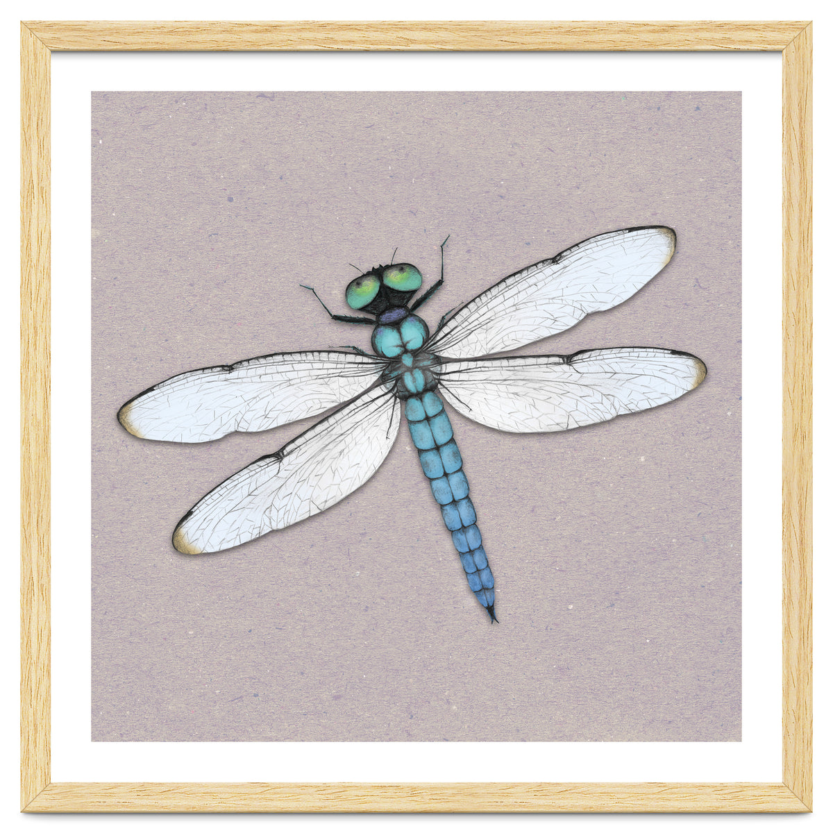 Blue dragonfly