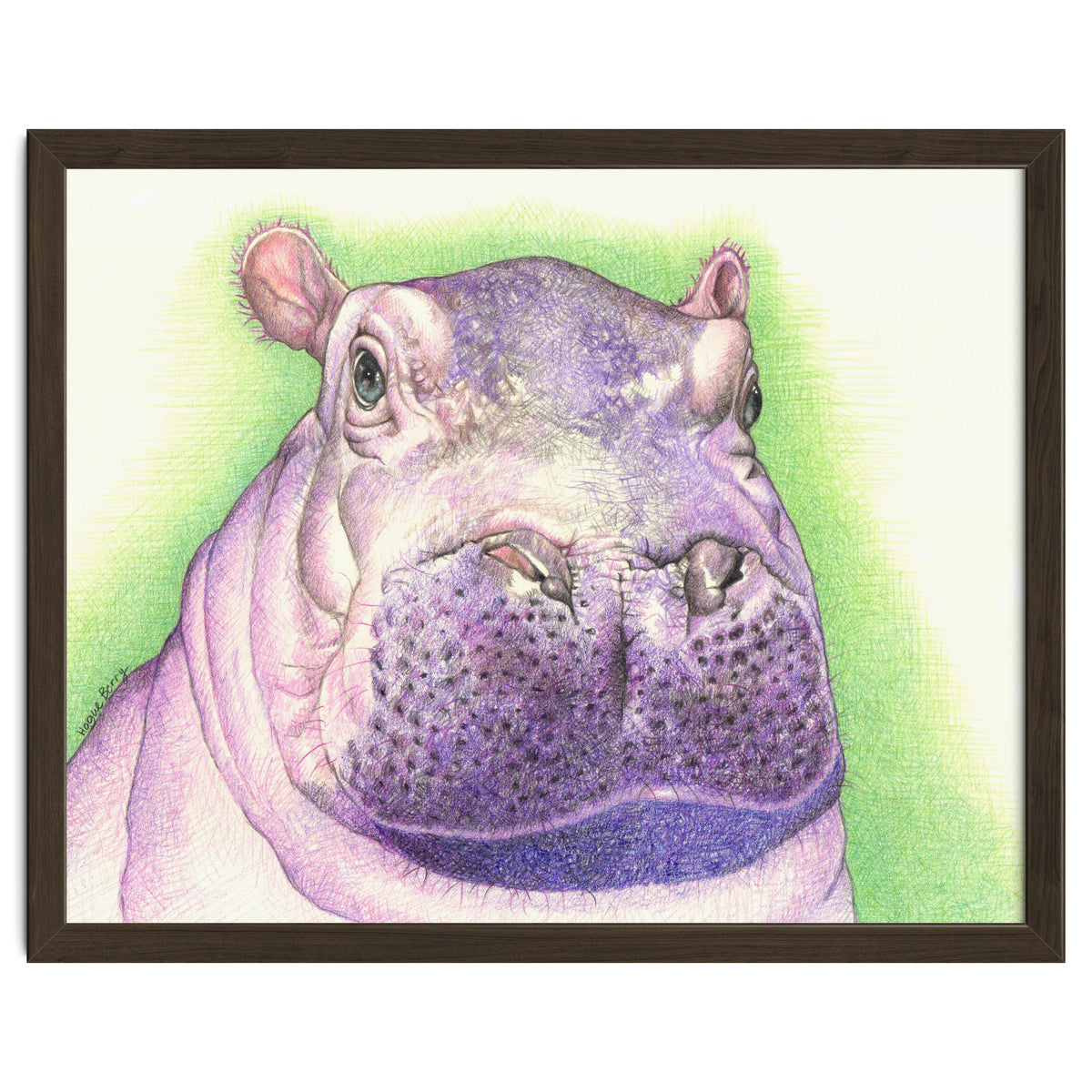 Purple Hippo