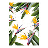 Bird Of Paradise (Print Only) thumbnail
