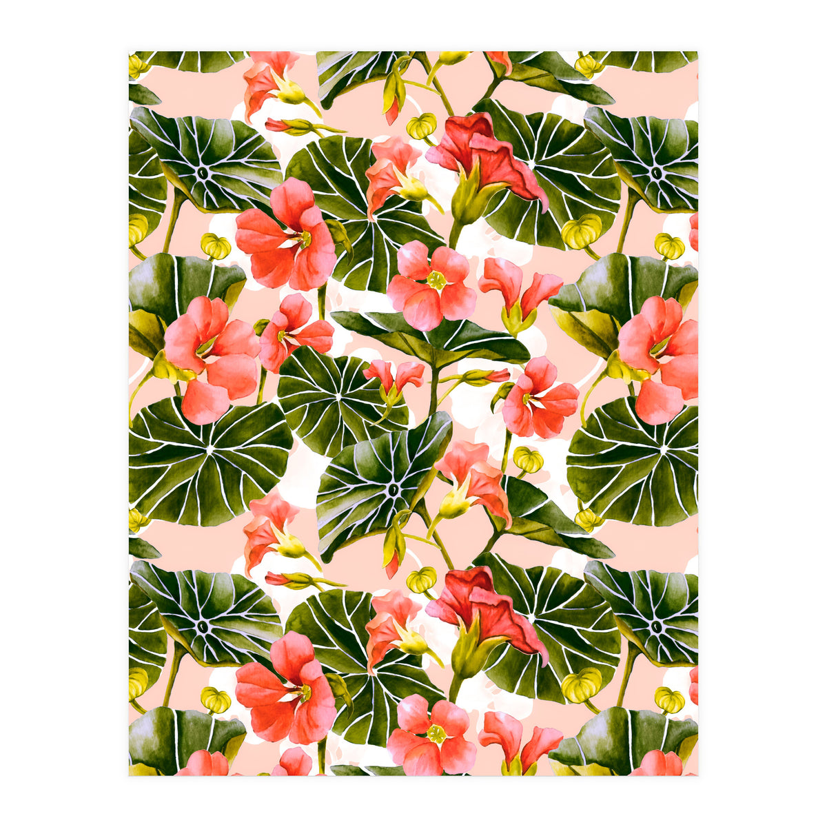 Nasturtiums watercolor 03 (Print Only)