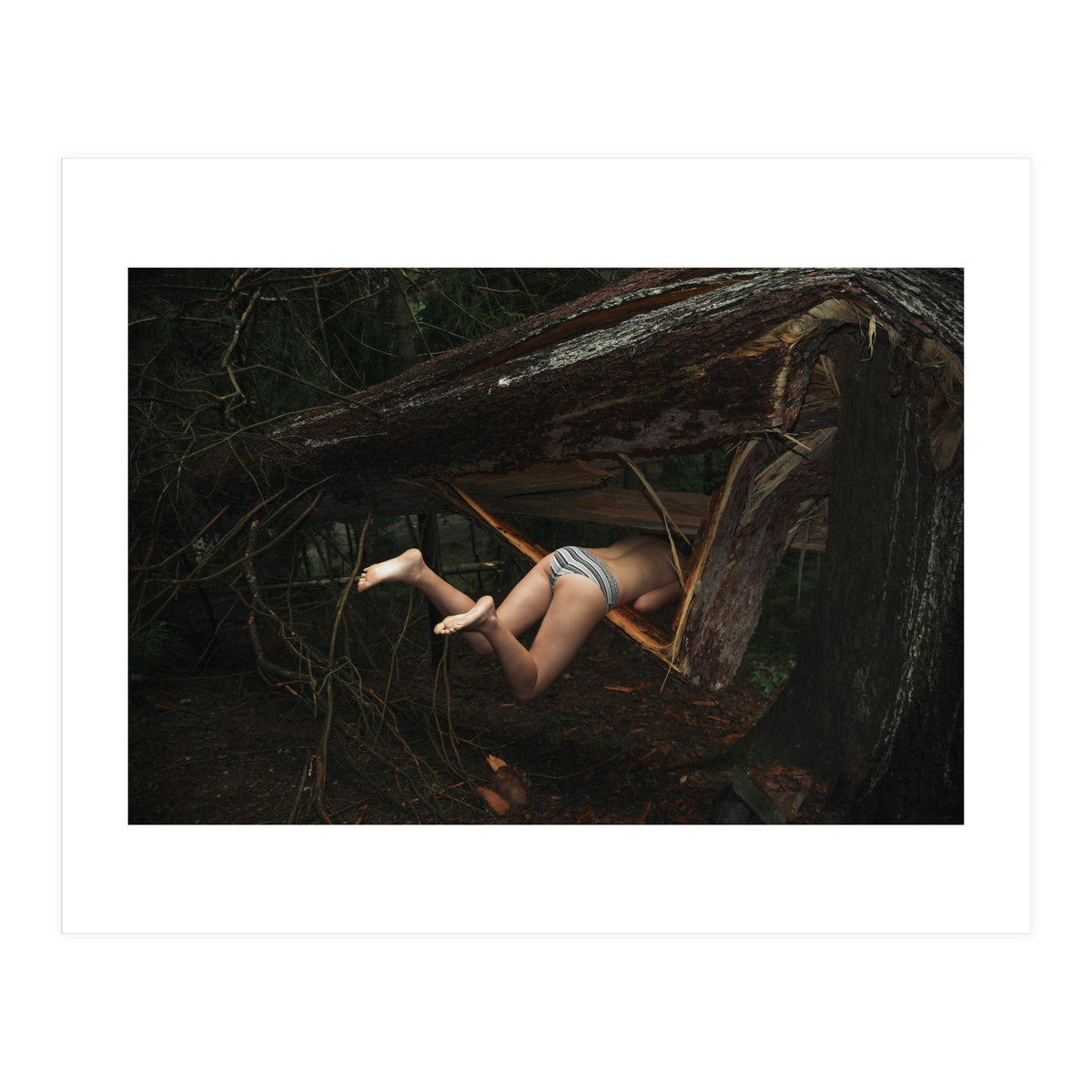 It's a Trap (Print Only)