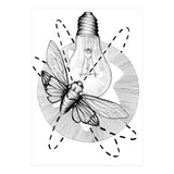Moth To The Flame (Print Only) thumbnail