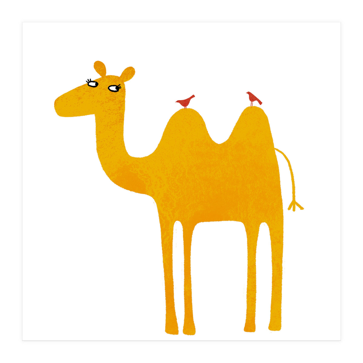 Camel (Print Only)