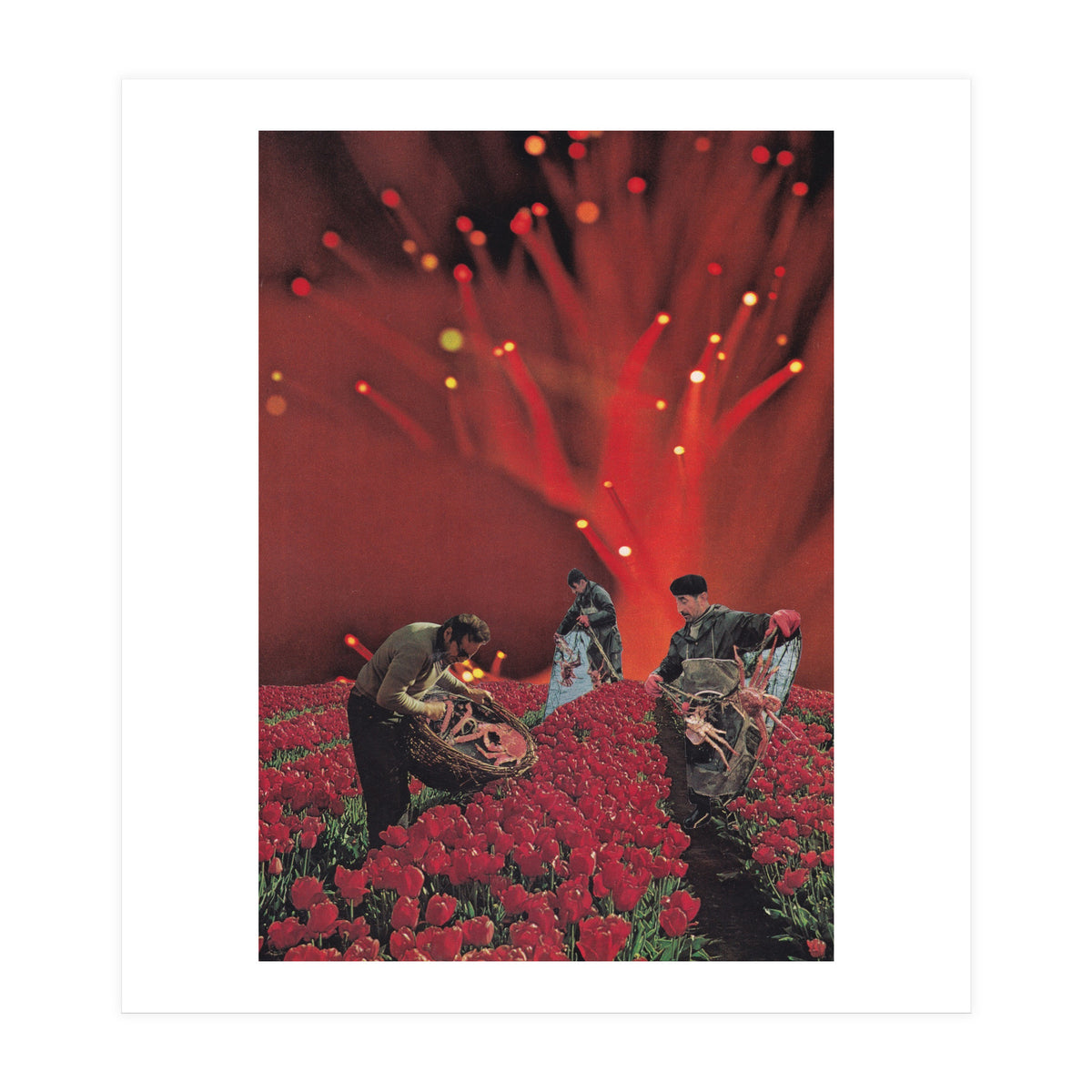 Red King Crab (Print Only)