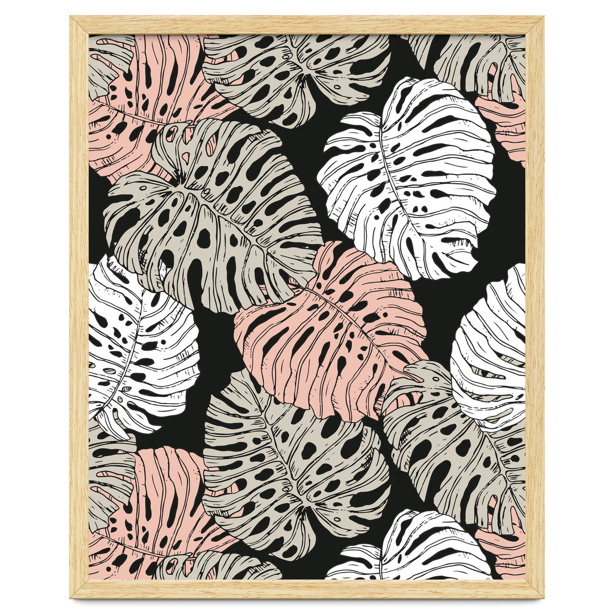 Monstera in the darkness of the jungle