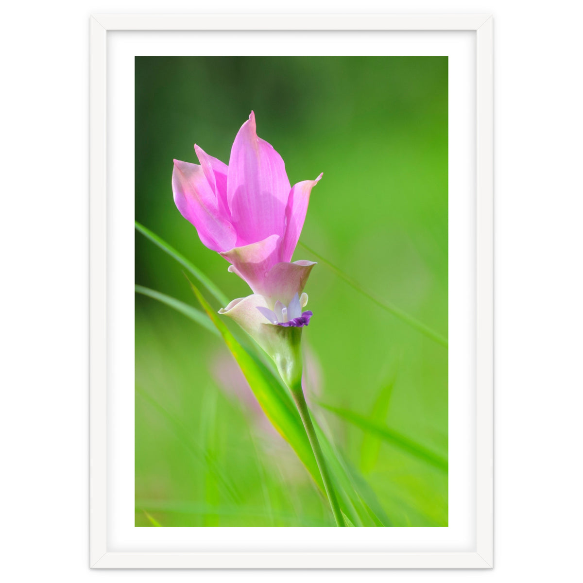 Nature 4000x6000 (12)