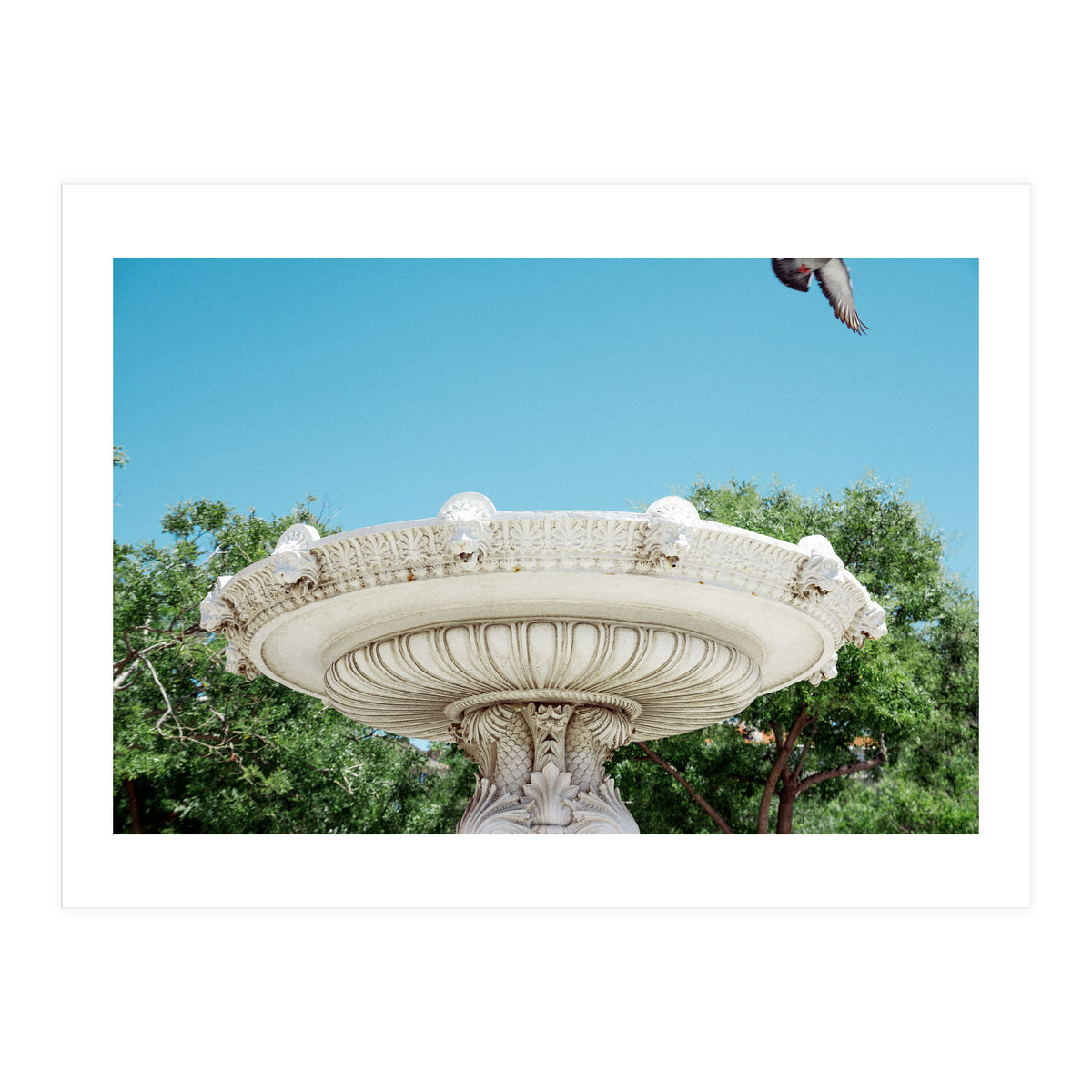 Holy Grail (Print Only)