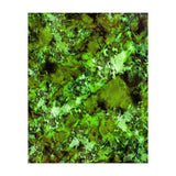 In Disguise (Print Only) thumbnail