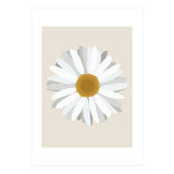Daisy (Print Only) thumbnail