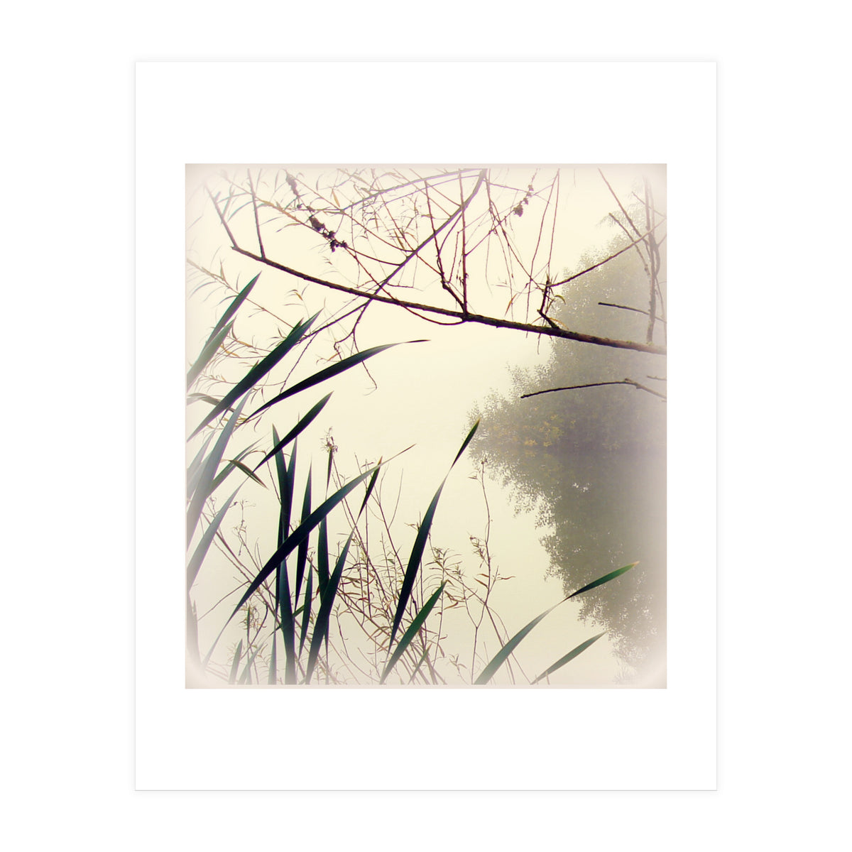 Quiet Waters  (Print Only)