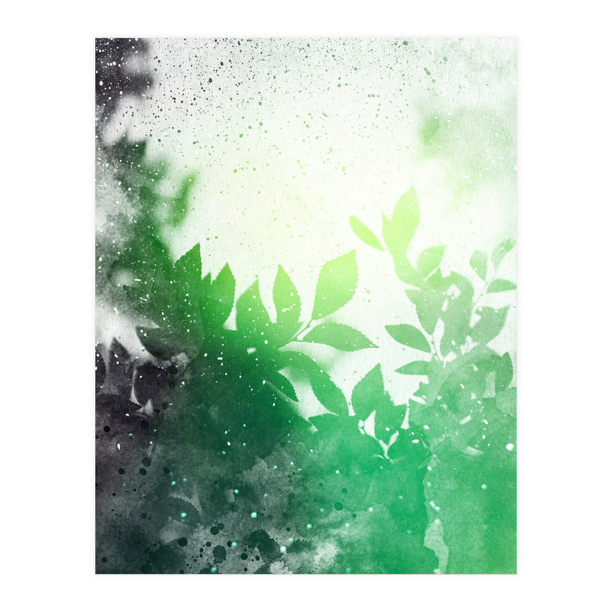 Leaves #3 (Print Only)