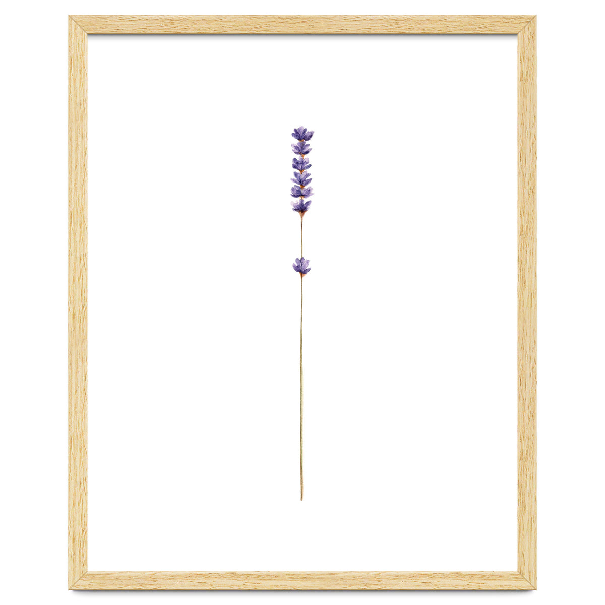 Lavender twig