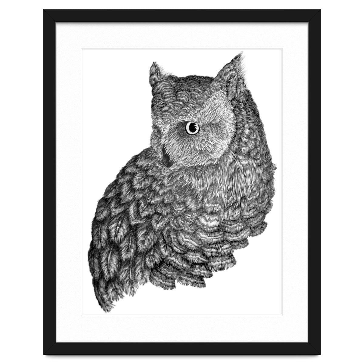 A Friend For Forsythe