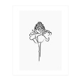 Black Flower (Print Only) thumbnail