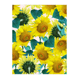 Sunflower (Print Only) thumbnail