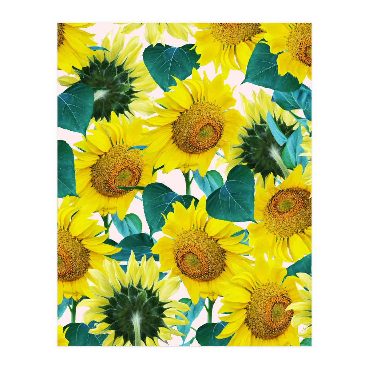 Sunflower (Print Only)
