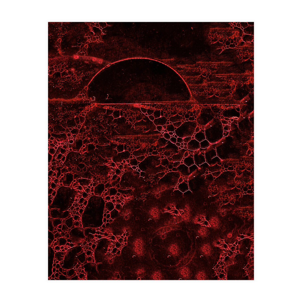 Red bubble (Print Only)