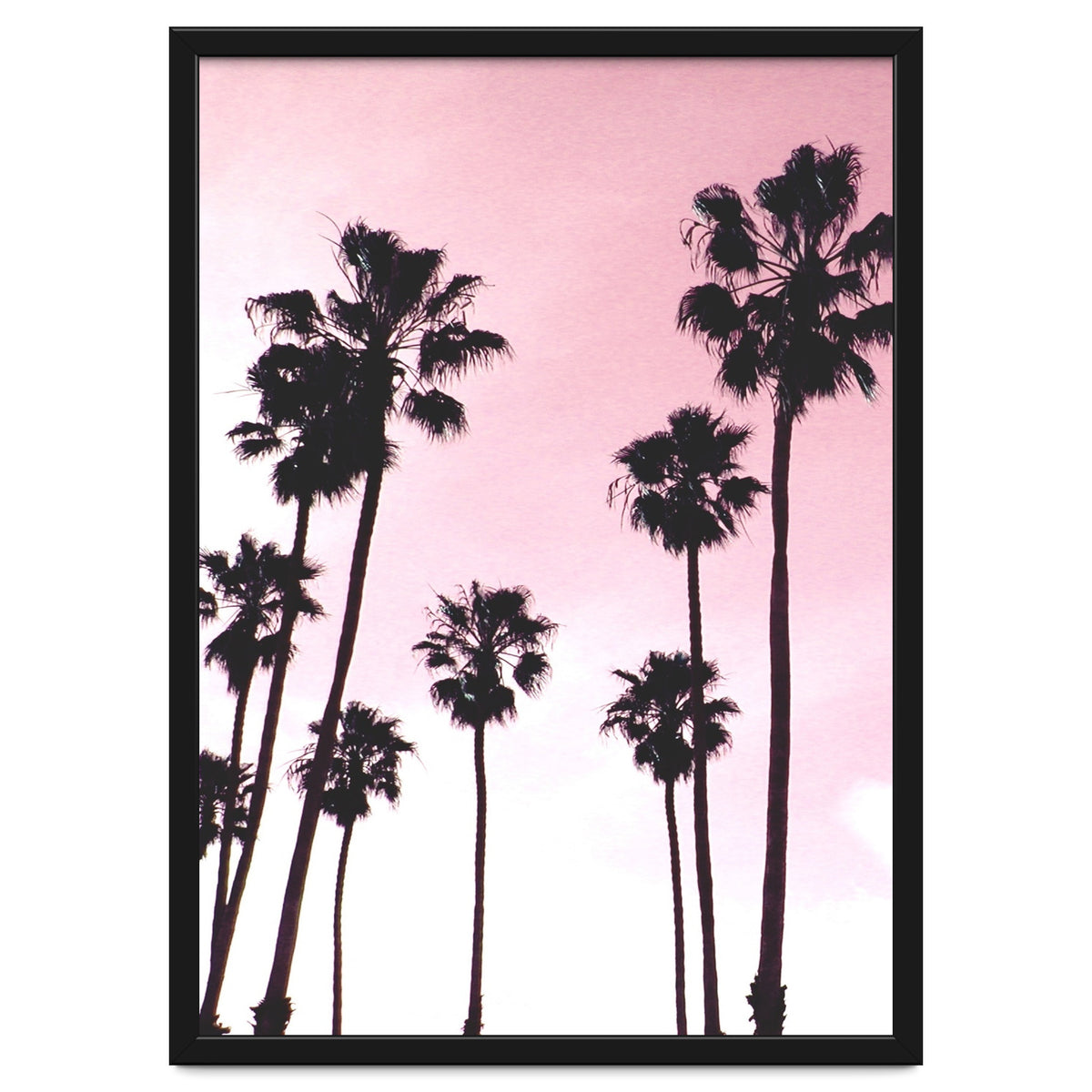 Palms & Sunset