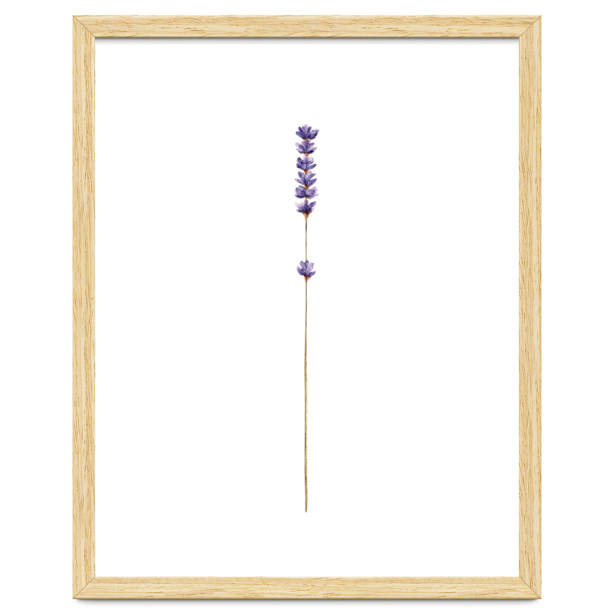 Lavender twig