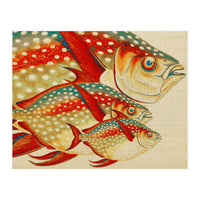 Fish Classic Designs 1 (Print Only)