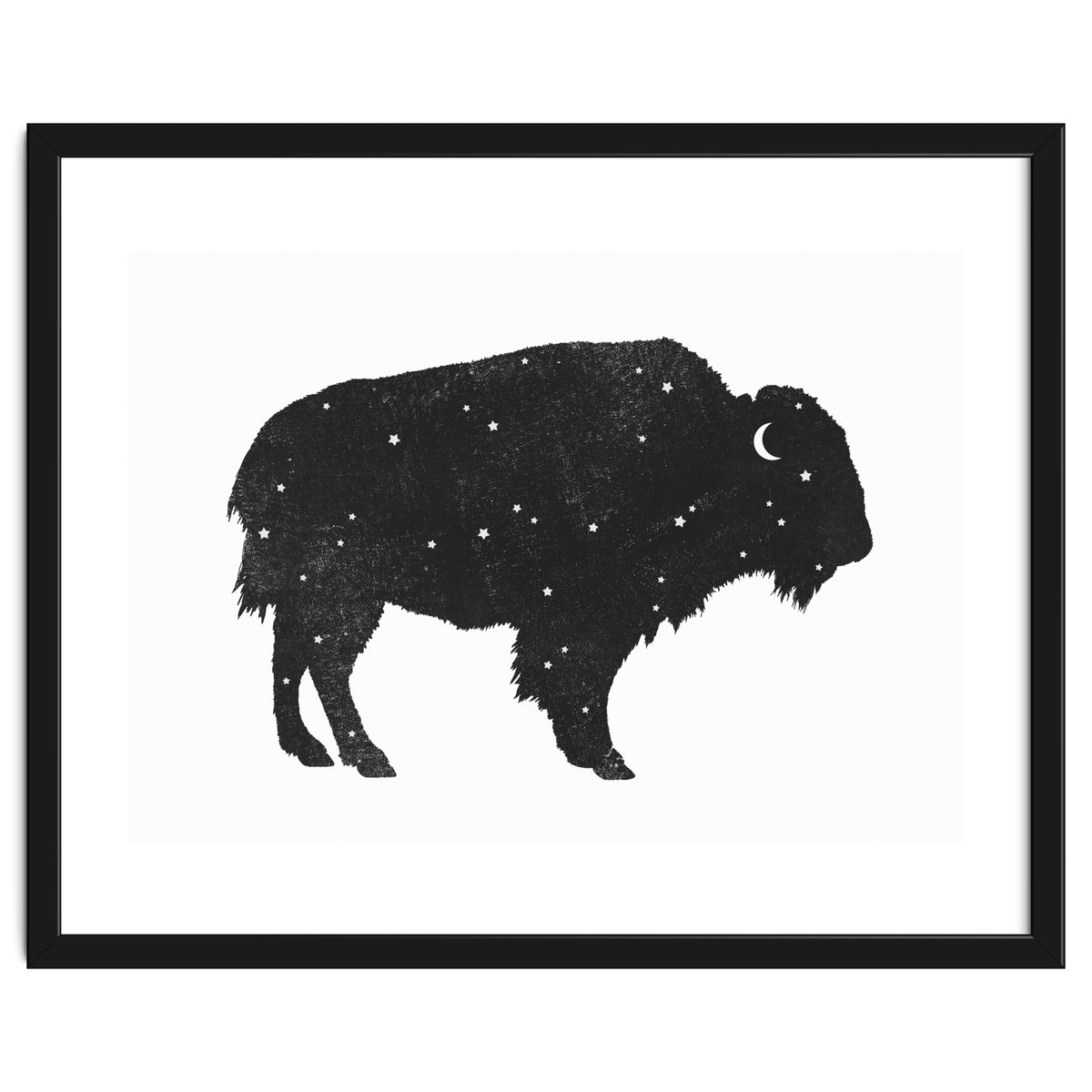 Mystic Buffalo