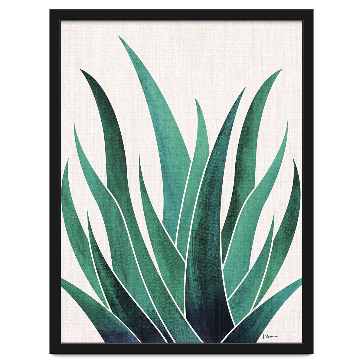 Desert Agave