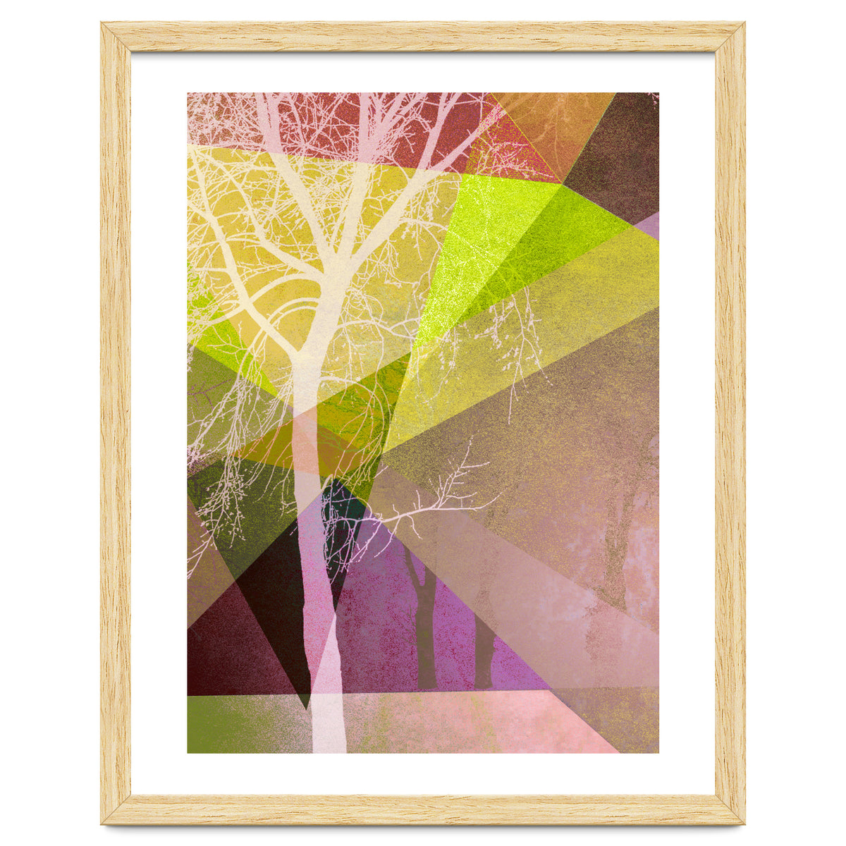 P22 Trees And Triangles