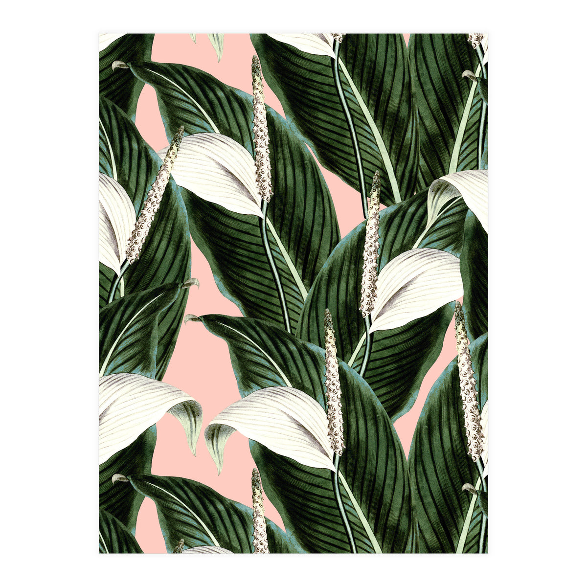 Sweet floral Pothos (Print Only)