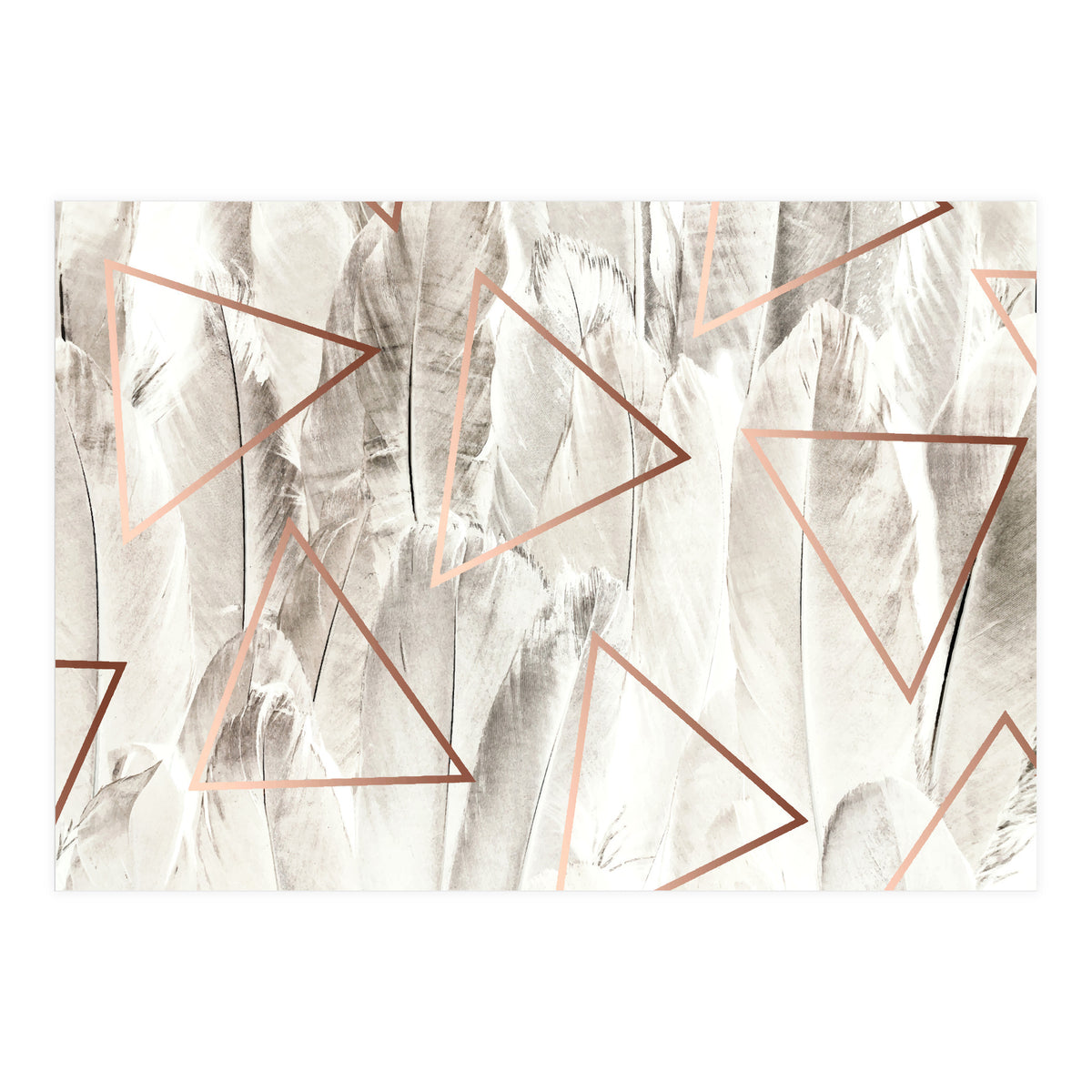 Feathers & Copper (Print Only)