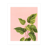 Tropical Rising (Print Only) thumbnail