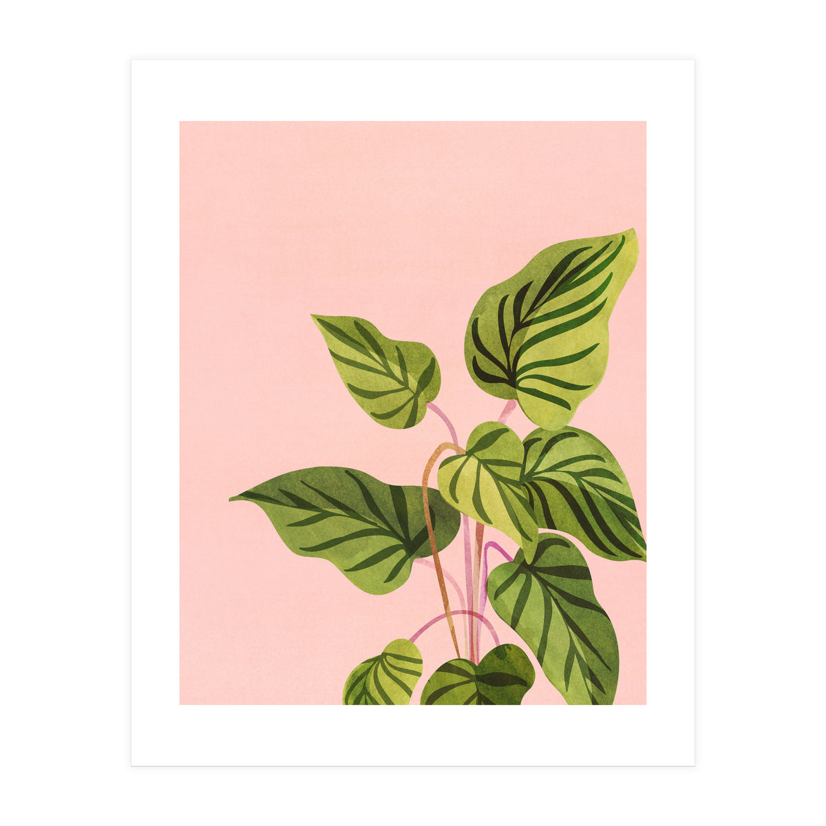 Tropical Rising (Print Only)