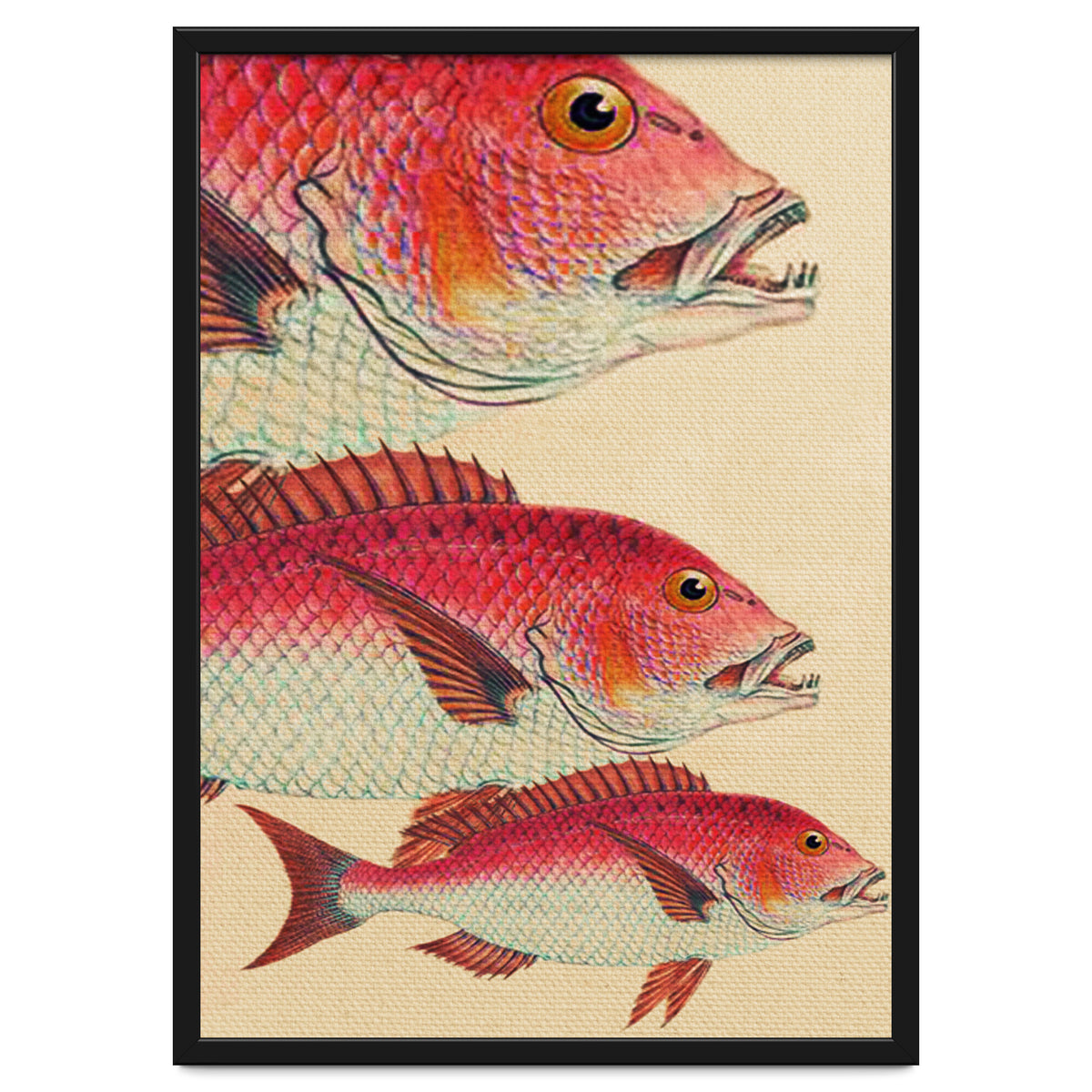 Fish Classic Designs 7