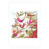 Haven (Print Only) thumbnail