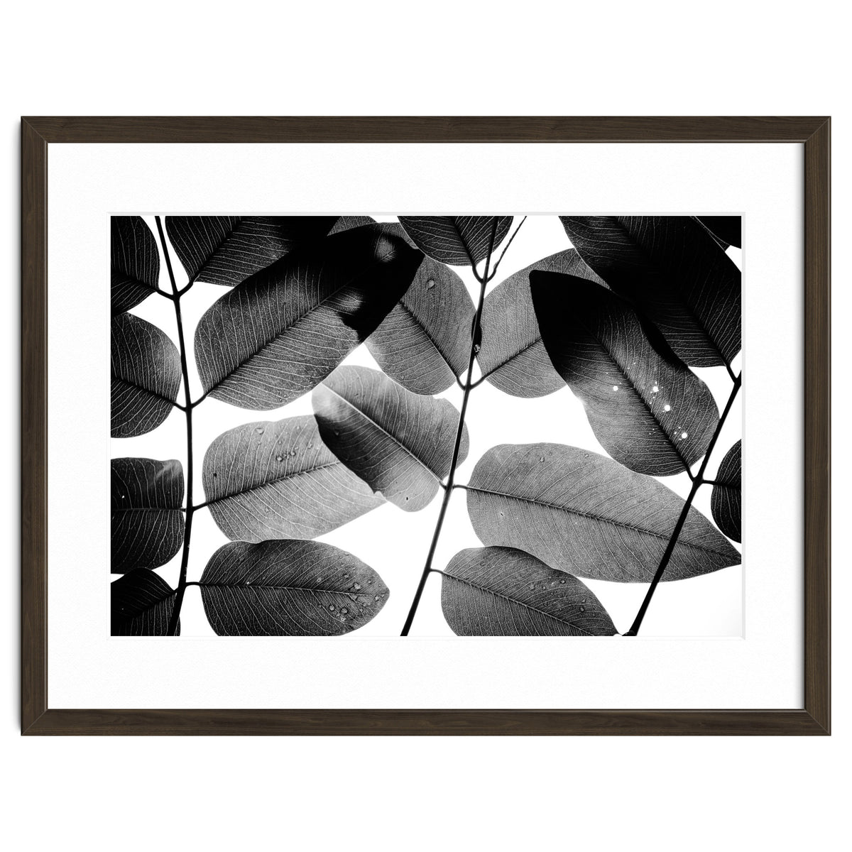 Experiments with Leaves II