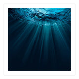 Nature (Print Only) thumbnail