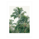 Lush Palm Trees (Print Only) thumbnail