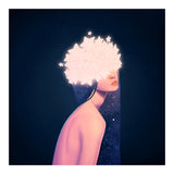 Alight (Print Only) thumbnail