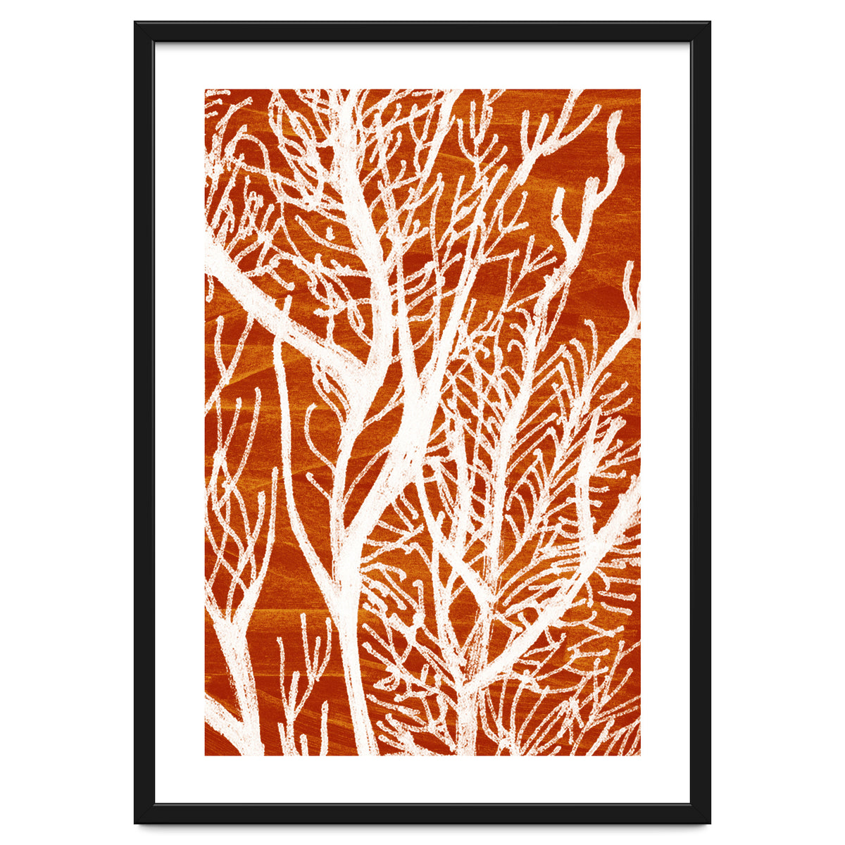 Desert Colours Collection 2