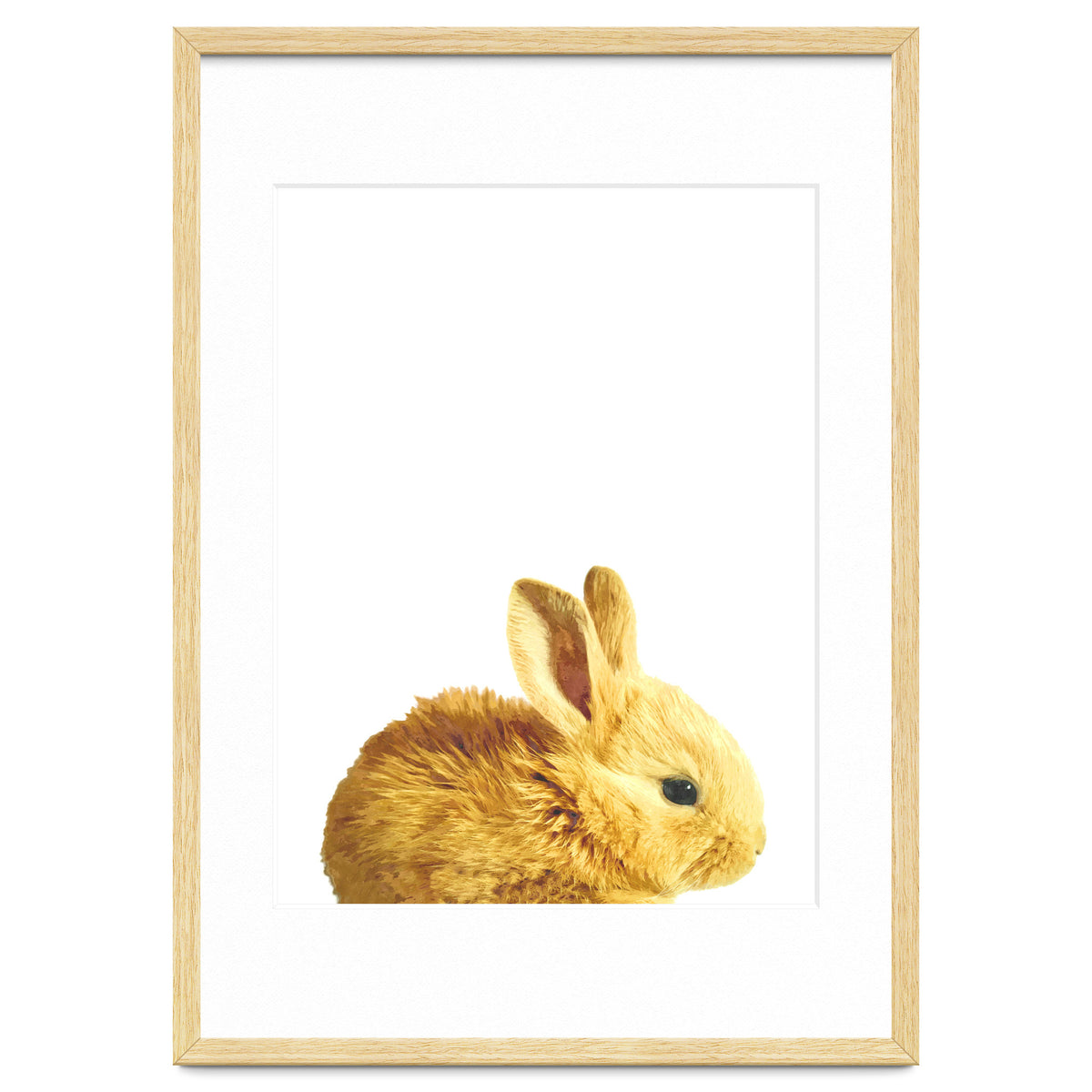 Bunny Portrait