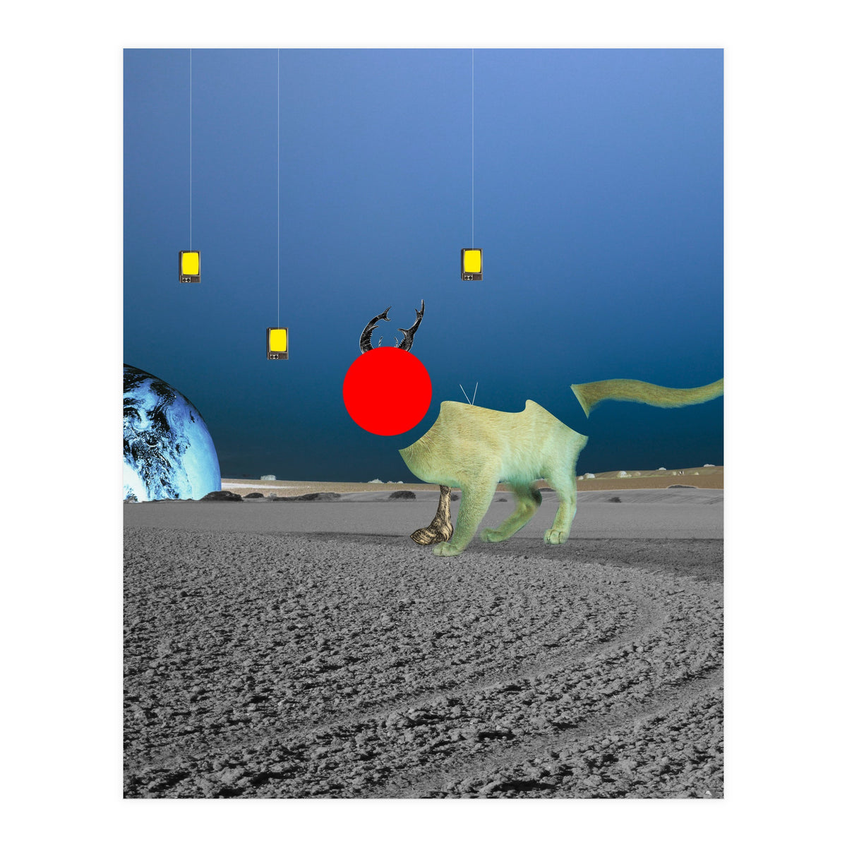 Le Cat? (Print Only)