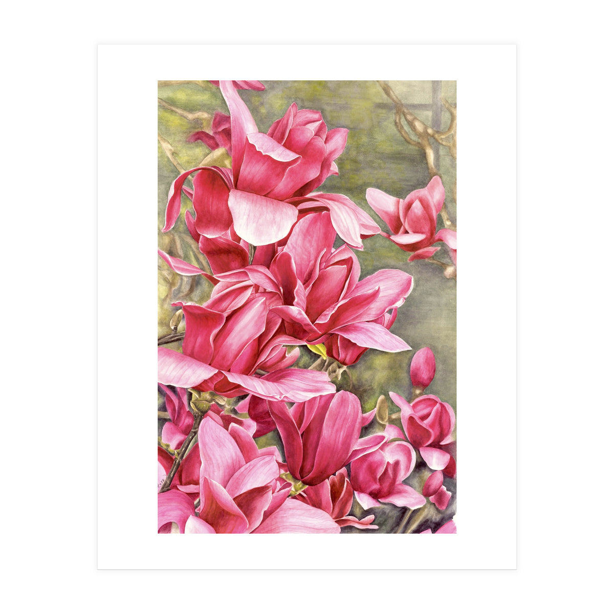 Magnolia 5 (Print Only)