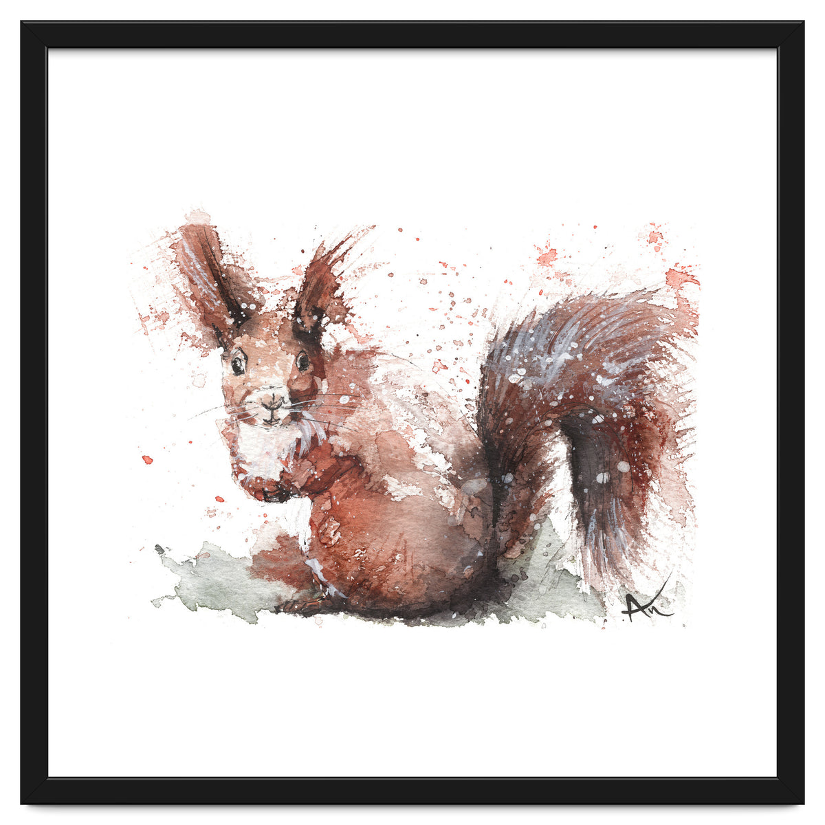 Squirrel - Wildlife Collection