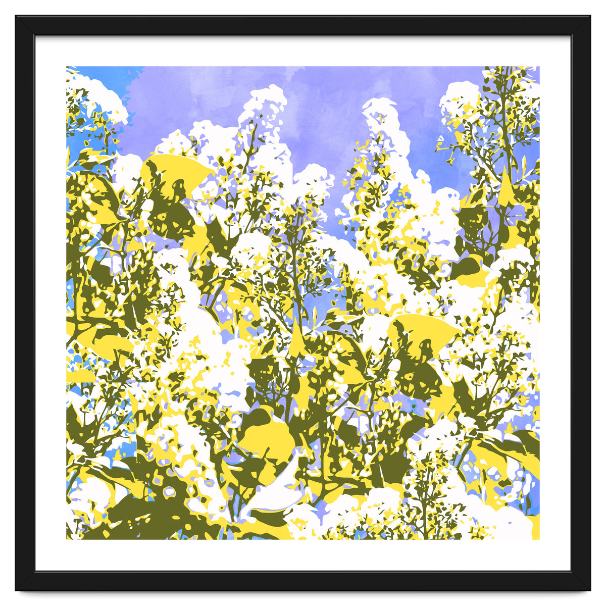 The Contrast Of Desire