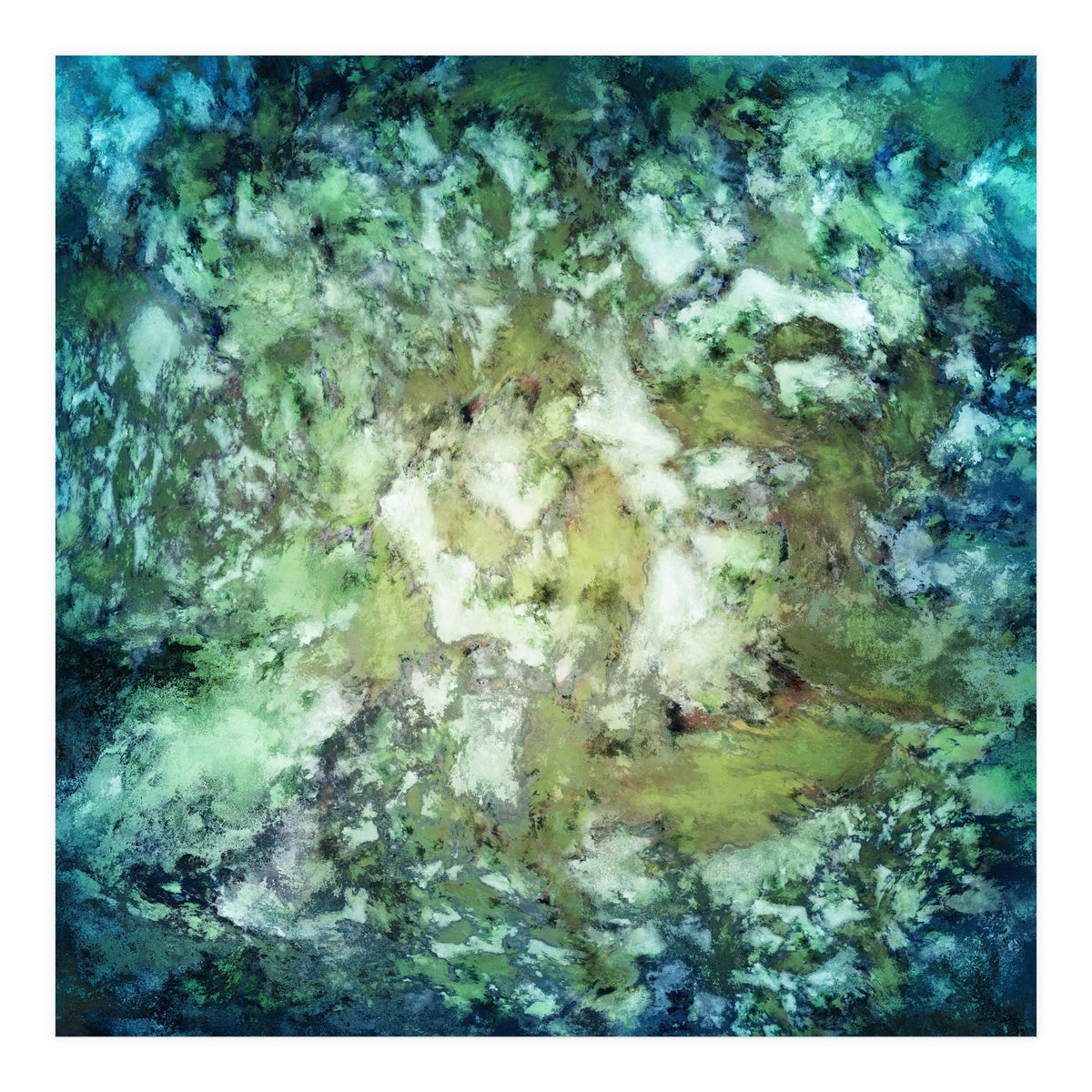 Observation (Print Only)