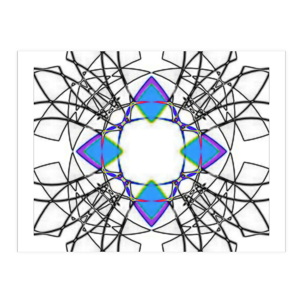 fiori.6 (Print Only)