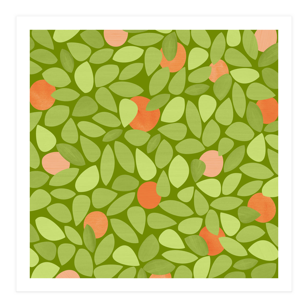 Orange Tree (Print Only)