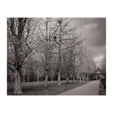 Bute Park, Cardiff (Print Only) thumbnail